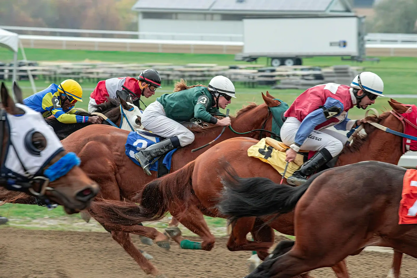 Horse Racing AI Picks and Predictions