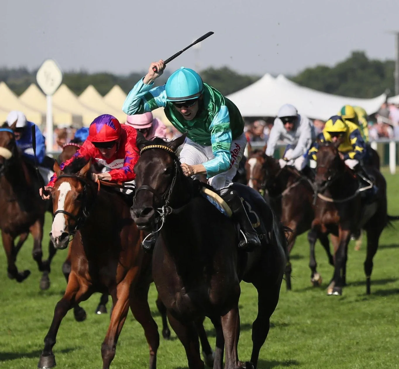 AI Horse Racing Predictions and Smart Betting Picks